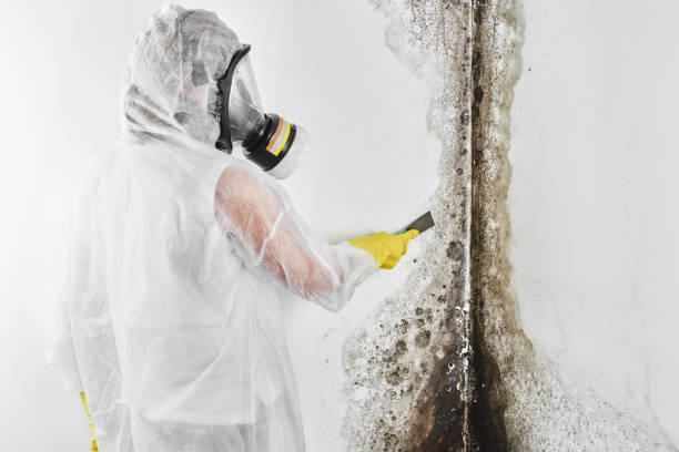 Water Damage Restoration in Beattystown, NJ