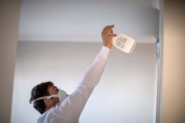 Best Best Mold Removal Companies  in Beattystown, NJ