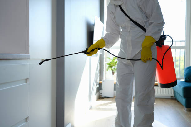 Best Local Mold Removal Service  in Beattystown, NJ