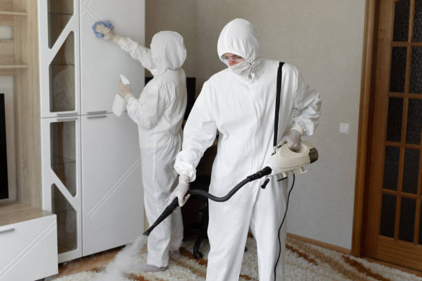 Best Crawl Space Mold Removal  in Beattystown, NJ