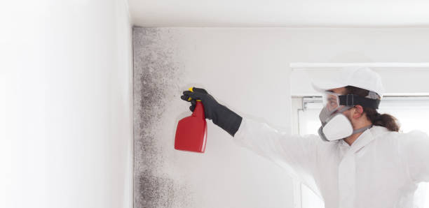Crawl Space Mold Removal in Beattystown, NJ