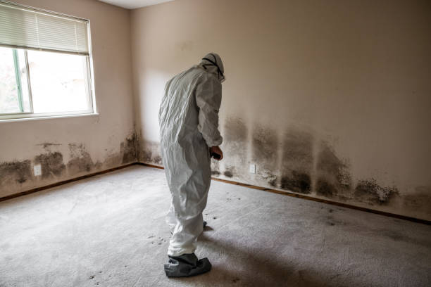 Best Residential Mold Removal  in Beattystown, NJ